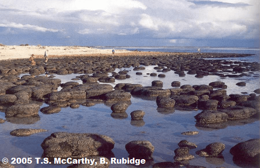 stromatolithes